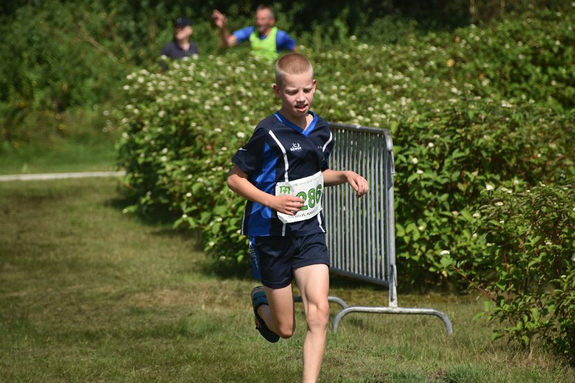 estafette deel 2 - 2017 - 190